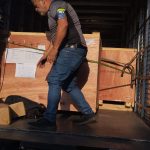 Multientregas Cuidado Equipos 7